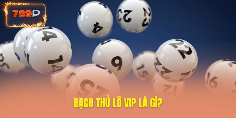 Khám phá khái niệm bạch thủ lô VIP đặc biệt