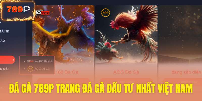 Sân chơi đá gà đẳng cấp đầu tư khủng nhất