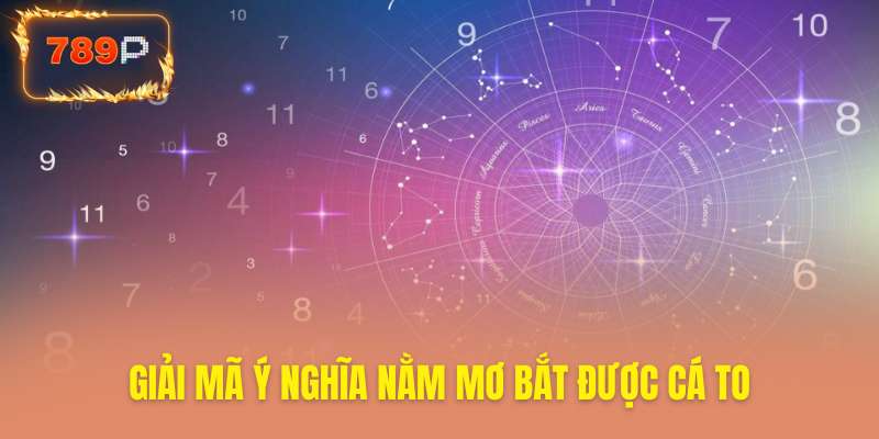 Khám phá điềm báo may mắn khi mơ bắt cá