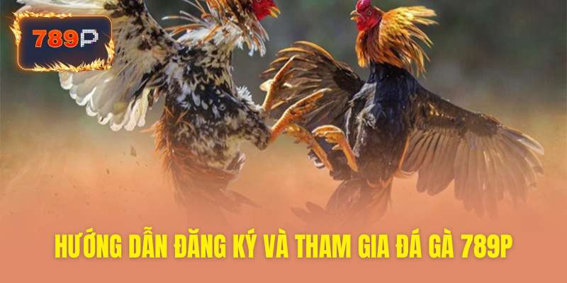 Hướng dẫn đăng ký chơi Đá gà 789P dễ dàng
