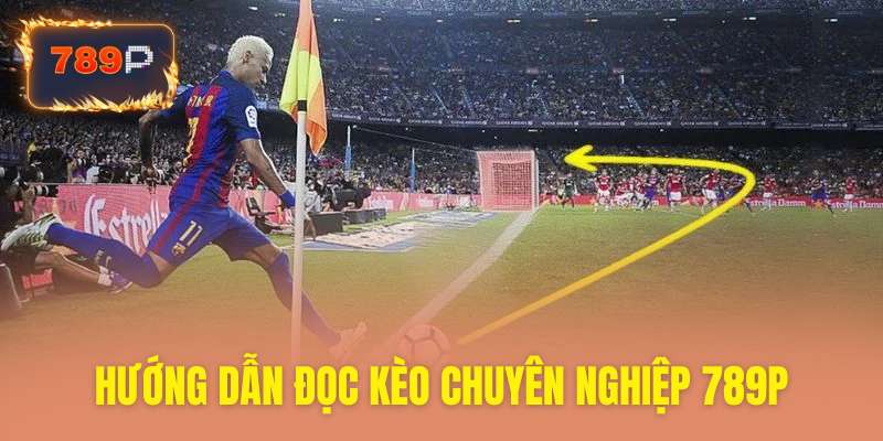 Hướng dẫn giải mã các tỷ lệ cược hiệu quả