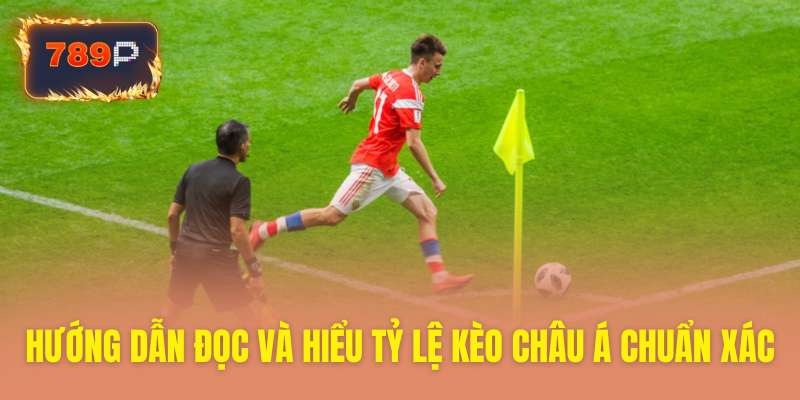 Hướng dẫn đọc hiểu chính xác mọi tỷ lệ kèo