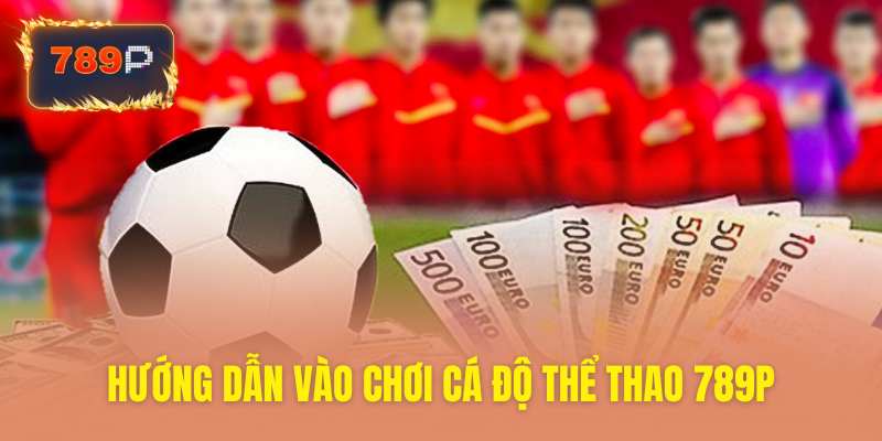 Tìm hiểu cách tham gia cá độ thể thao 789P