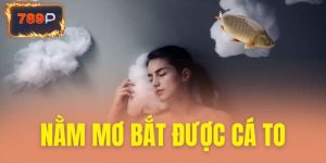Nằm mơ bắt được cá to