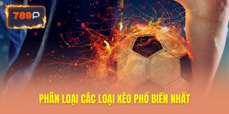 Phân loại chi tiết các hình thức kèo cá cược