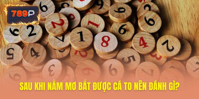 Con số nào nên đánh để trúng lớn sau mơ