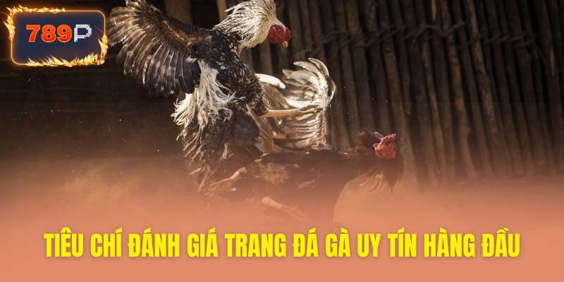 Tiêu chí đánh giá trang đá gà uy tín 789P