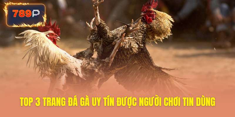 Top 3 địa chỉ đá gà được cược thủ tin chọn