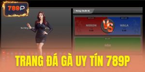 Trang đá gà uy tín
