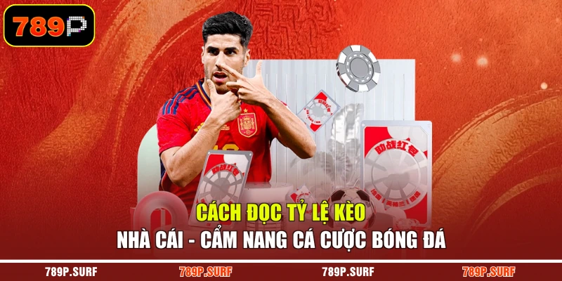 Cách Đọc Tỷ Lệ Kèo Nhà Cái - Cẩm Nang Cá Cược Bóng Đá