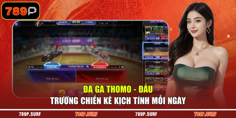 Đá Gà Thomo - Đấu Trường Chiến Kê Kịch Tính Mỗi Ngày
