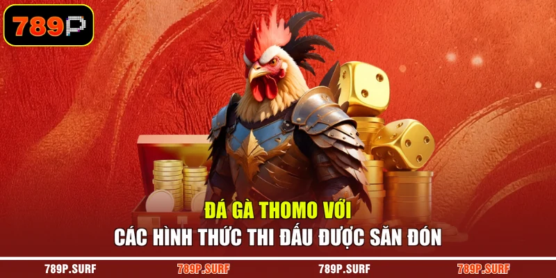 Đá gà Thomo với các hình thức thi đấu được săn đón