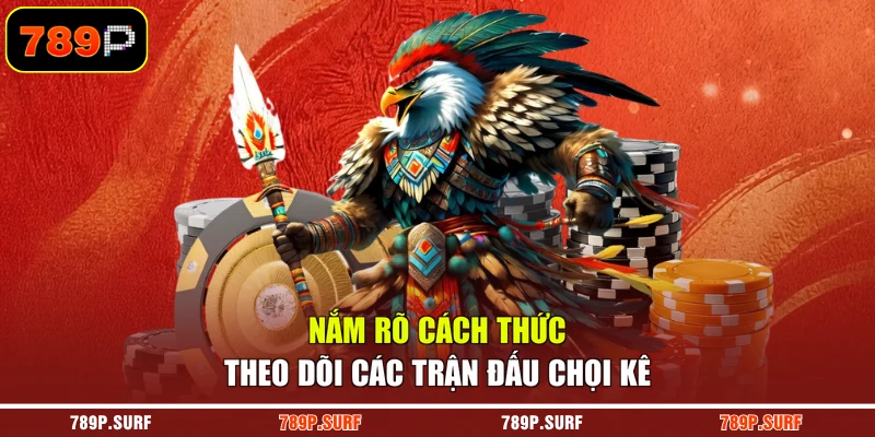 Nắm rõ cách thức theo dõi các trận đấu chọi kê