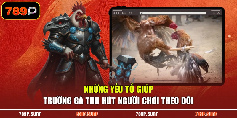 Những yếu tố giúp trường gà thu hút người chơi theo dõi