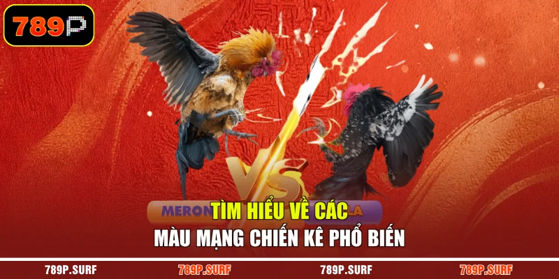 Tìm hiểu về các màu mạng chiến kê phổ biến